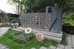 致敬“平安卫士”，铭记“刑警之魂”
