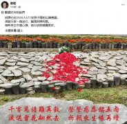向死而生：生态葬重塑的生命美学